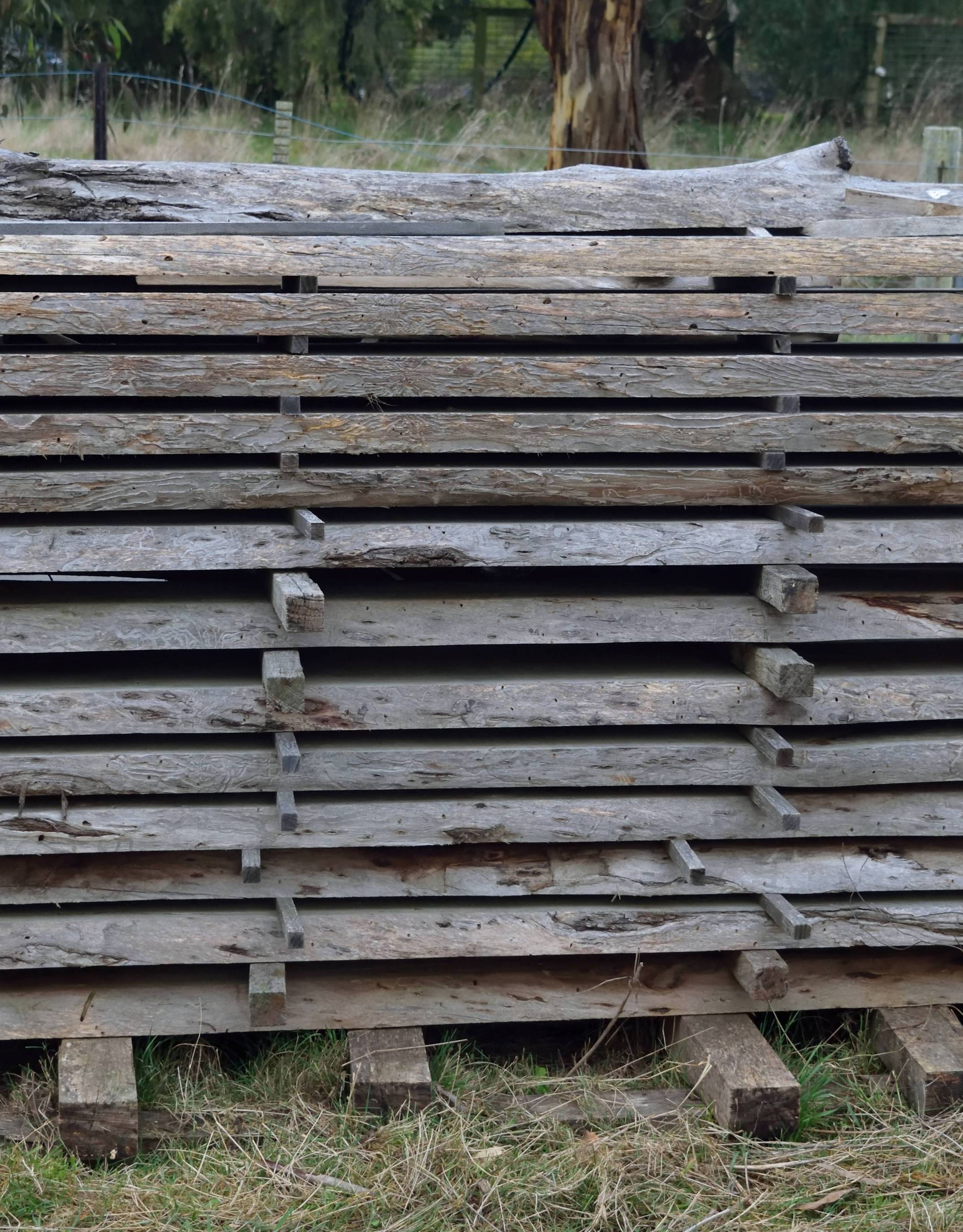 Stacked Shining Gum Slabs